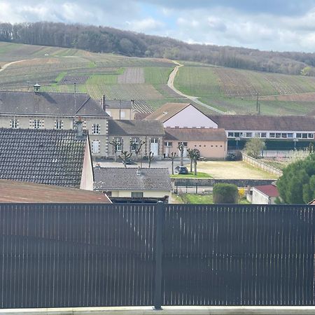 La Maison Des Vendangeurs Grauves Bagian luar foto
